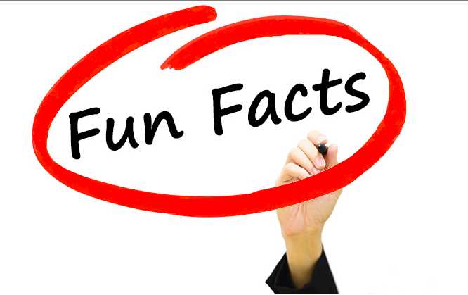 Ästhetik Fun Facts